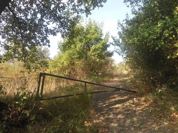 terreno in vendita a Guidonia Montecelio in zona Colle Spinello