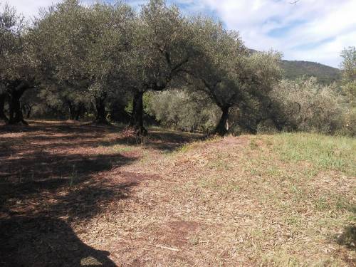 terreno in vendita a Guidonia Montecelio in zona Montecelio