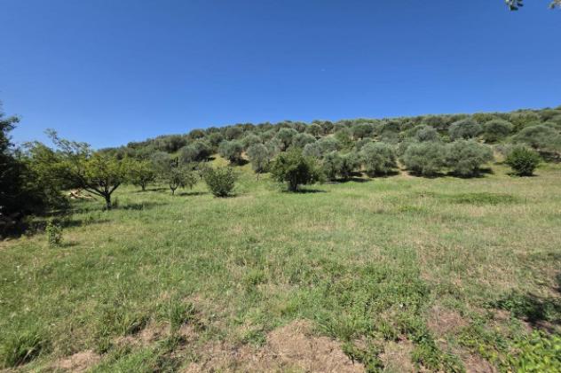 terreno in vendita a Guidonia Montecelio