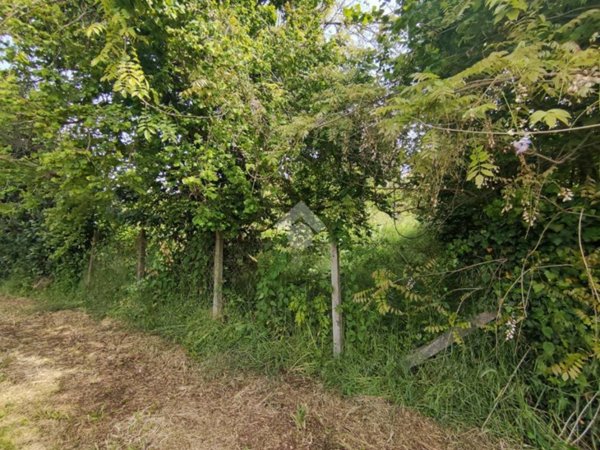 terreno agricolo in vendita a Labico