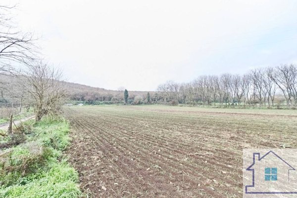 terreno agricolo in vendita a Labico
