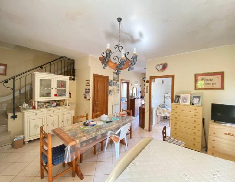 immagine annuncio 0 di 15