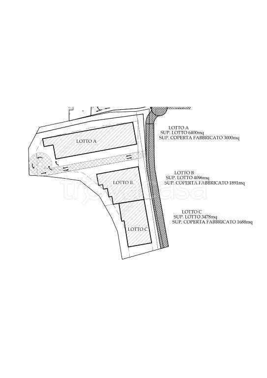 terreno agricolo in vendita a Labico