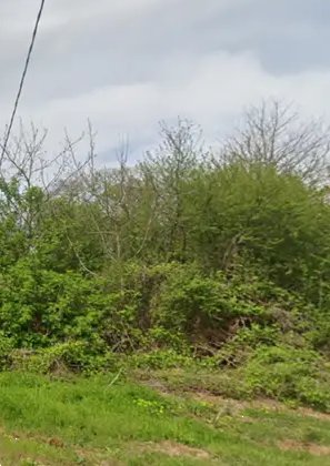 terreno agricolo in vendita a Labico