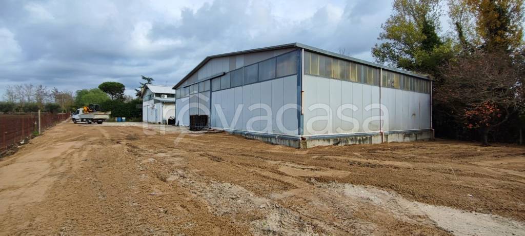 locale commerciale in vendita a Lanuvio