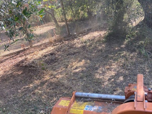 terreno agricolo in vendita a Lanuvio in zona Malcavallo