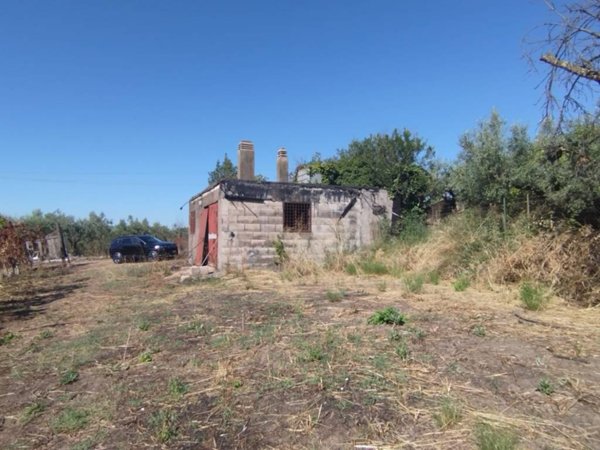 terreno agricolo in vendita a Lanuvio