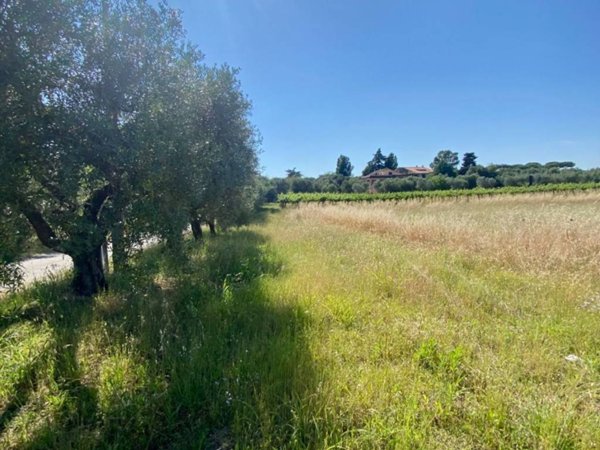 terreno agricolo in vendita a Lanuvio in zona Sambuco
