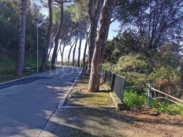 terreno agricolo in vendita a Lanuvio