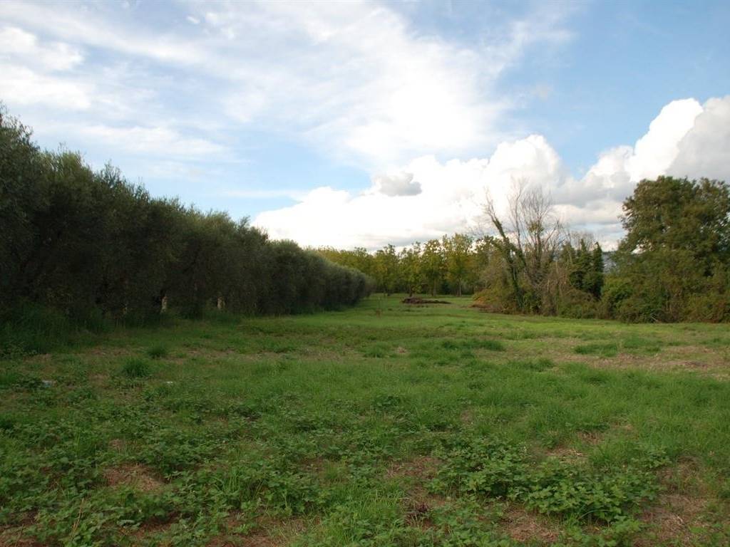 terreno agricolo in vendita a Lanuvio
