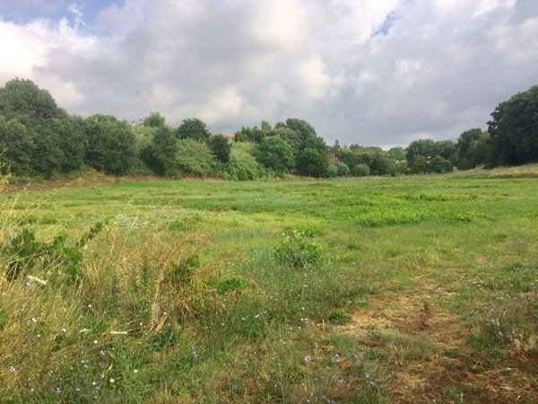 terreno agricolo in vendita a Lanuvio