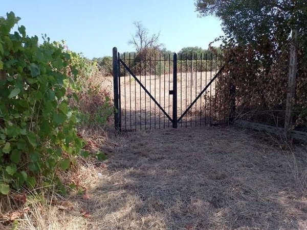 terreno agricolo in vendita a Lanuvio