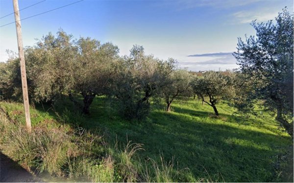 terreno agricolo in vendita a Lanuvio