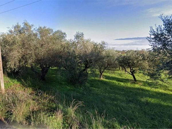 terreno agricolo in vendita a Lanuvio