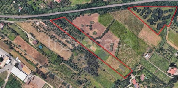 terreno agricolo in vendita a Lanuvio