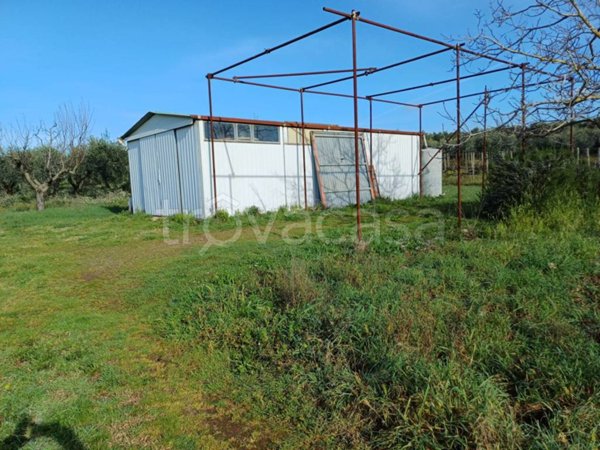 terreno agricolo in vendita a Lanuvio in zona Pietrara