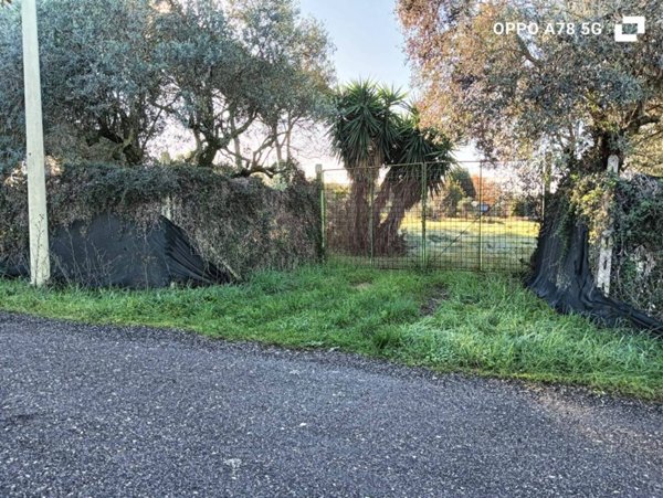 terreno agricolo in vendita a Lanuvio in zona Sambuco