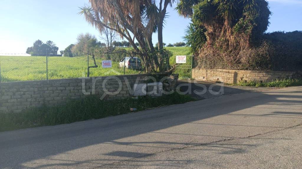 terreno agricolo in vendita a Lanuvio