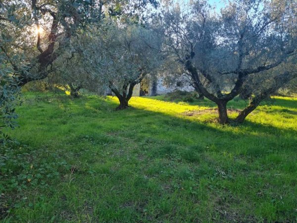 casa indipendente in vendita a Lanuvio