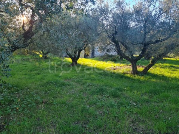 appartamento in vendita a Lanuvio