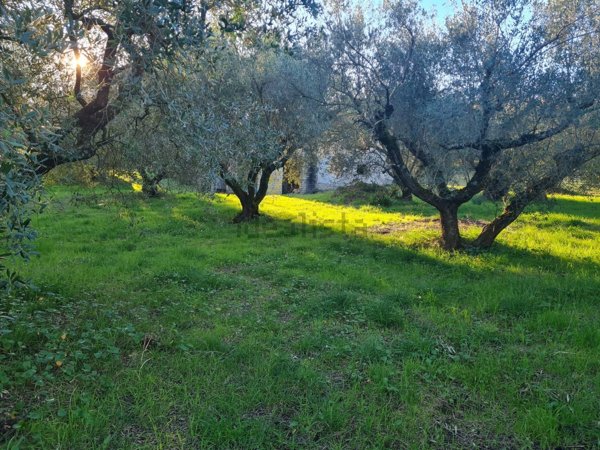 appartamento in vendita a Lanuvio