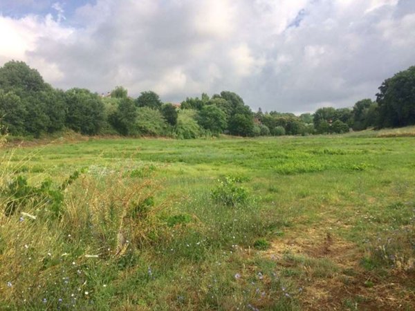 terreno agricolo in vendita a Lanuvio