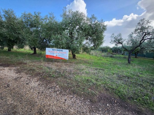 terreno agricolo in vendita a Lanuvio in zona Malcavallo