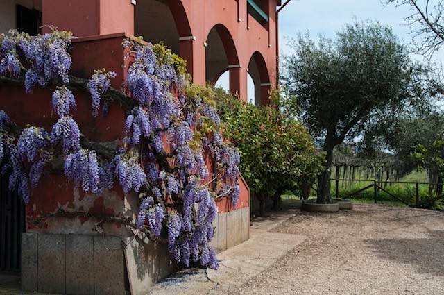 terreno agricolo in vendita a Lanuvio in zona Monte Giove