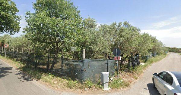 terreno agricolo in vendita a Lanuvio