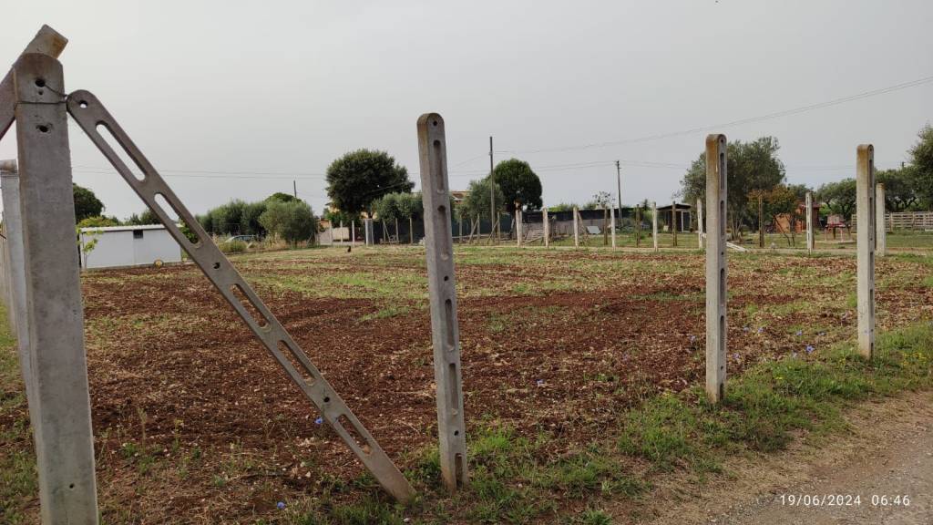 terreno agricolo in vendita a Lanuvio