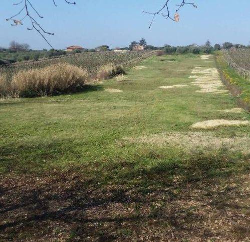 terreno agricolo in vendita a Lanuvio