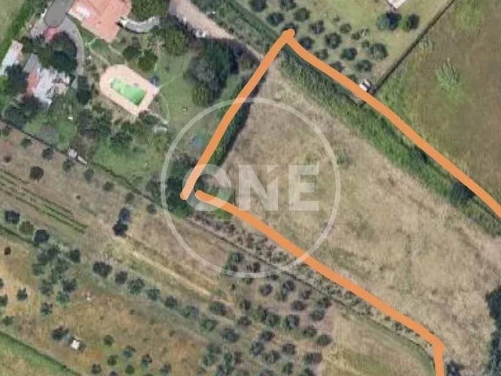 terreno agricolo in vendita a Lanuvio