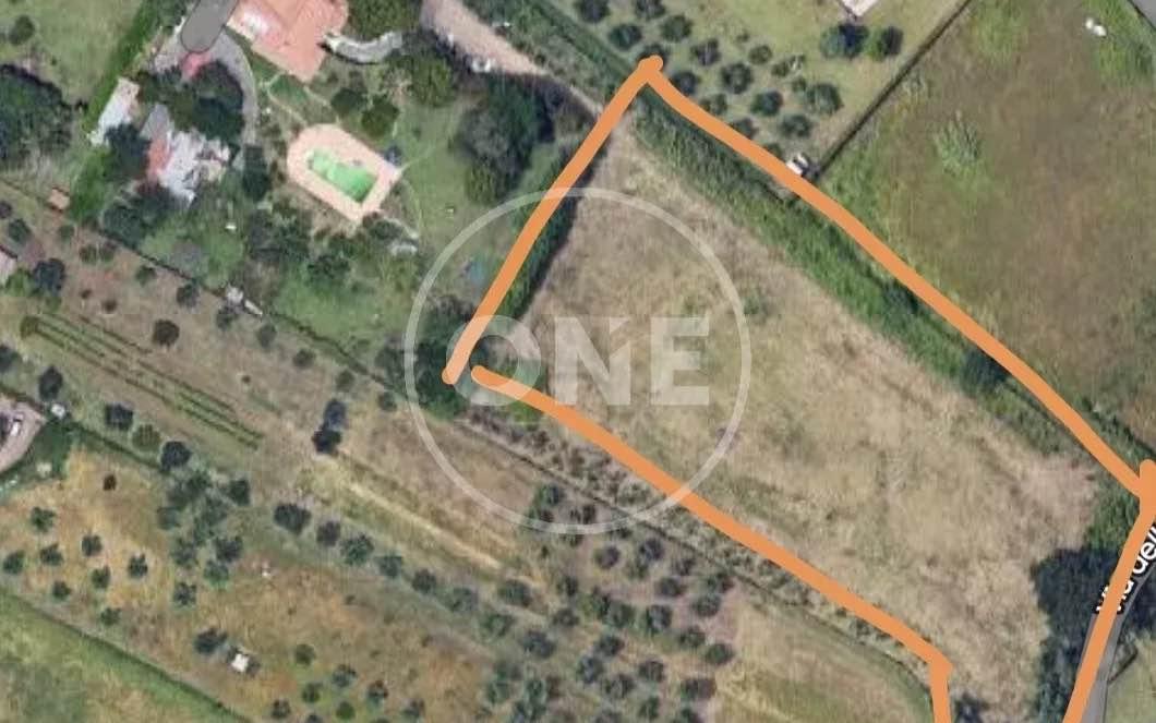 terreno agricolo in vendita a Lanuvio