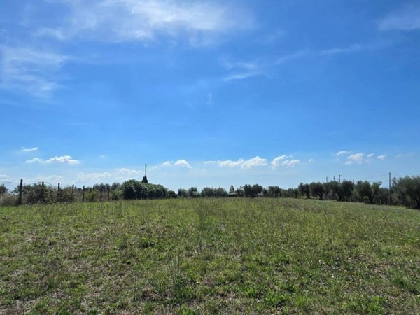 terreno agricolo in vendita a Lanuvio in zona Malcavallo