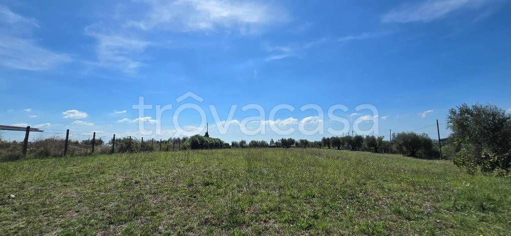terreno agricolo in vendita a Lanuvio in zona Malcavallo