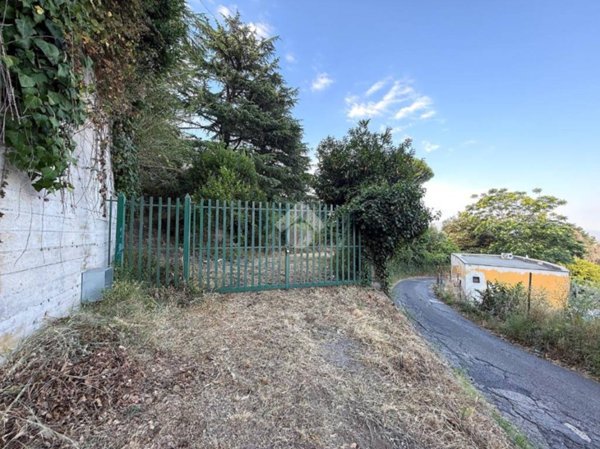 terreno agricolo in vendita a Lanuvio