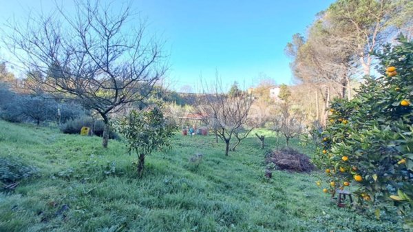 terreno agricolo in vendita a Lanuvio