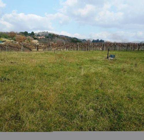 terreno agricolo in vendita a Lanuvio
