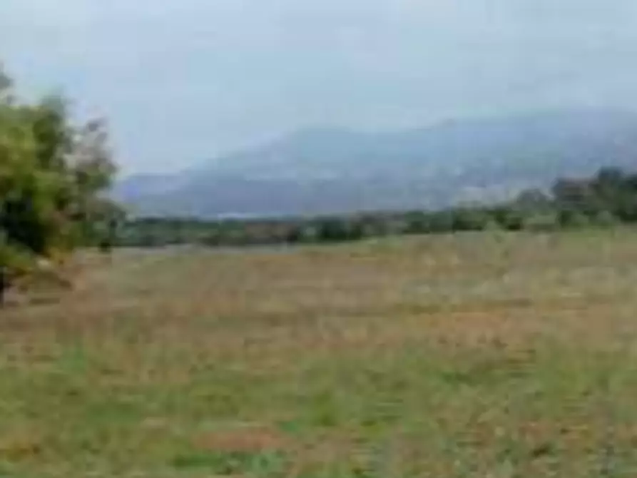 terreno agricolo in vendita a Lanuvio