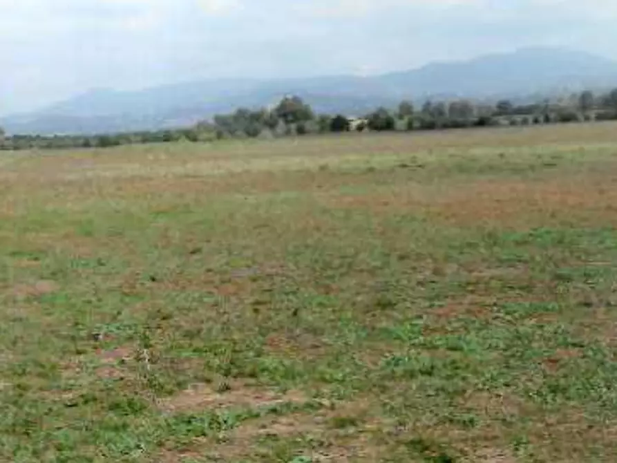 terreno edificabile in vendita a Lanuvio