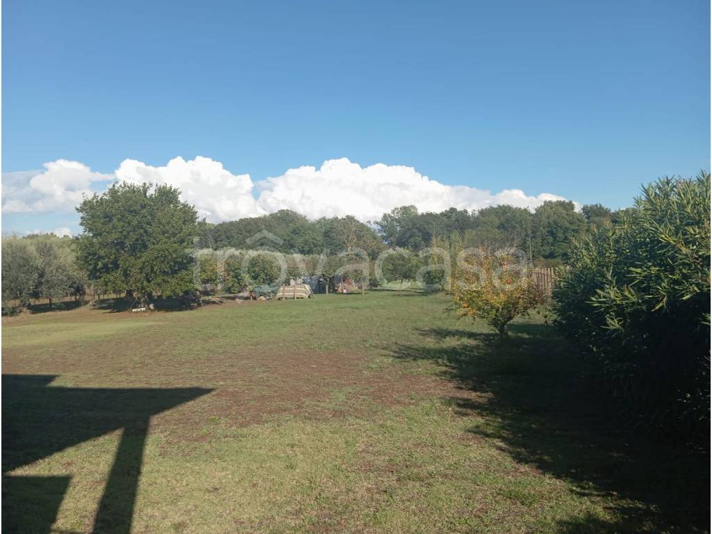 appartamento in vendita a Lanuvio