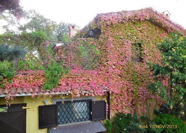 casa indipendente in vendita a Lanuvio