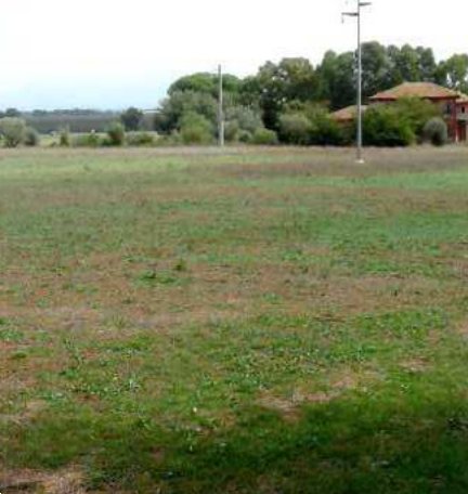 terreno agricolo in vendita a Lanuvio