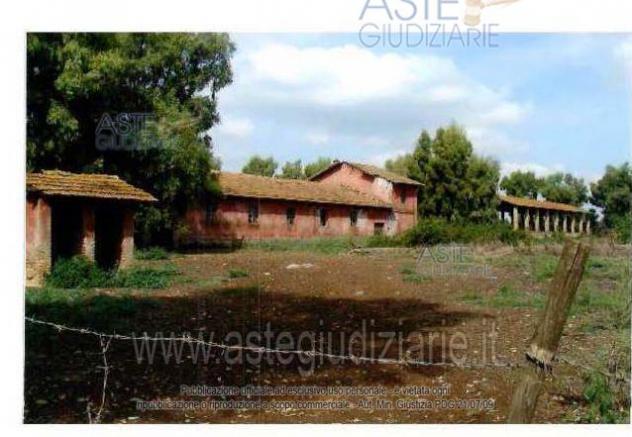 terreno agricolo in vendita a Lanuvio