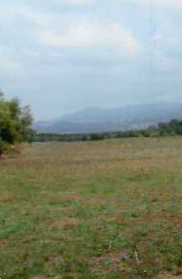 terreno agricolo in vendita a Lanuvio