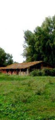 immagine annuncio 0 di 10