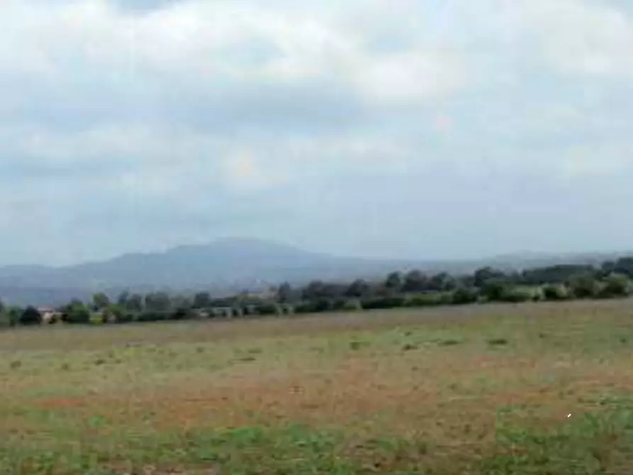 locale di sgombero in vendita a Lanuvio