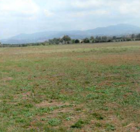 terreno edificabile in vendita a Lanuvio
