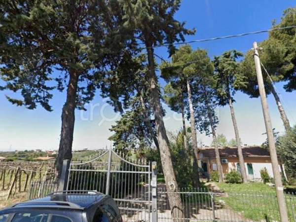 appartamento in vendita a Lanuvio