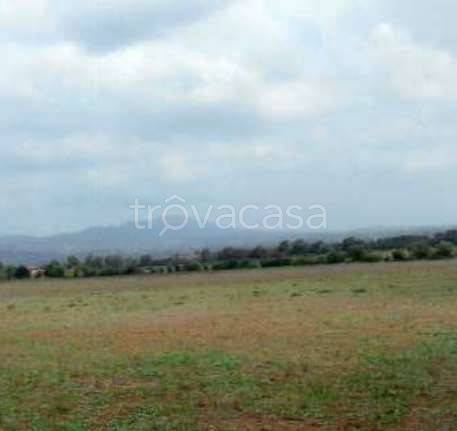 terreno agricolo in vendita a Lanuvio